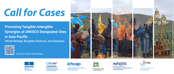 Call for Cases on Promoting Tangible-Intangible Synergies